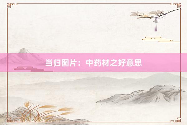 当归图片：中药材之好意思